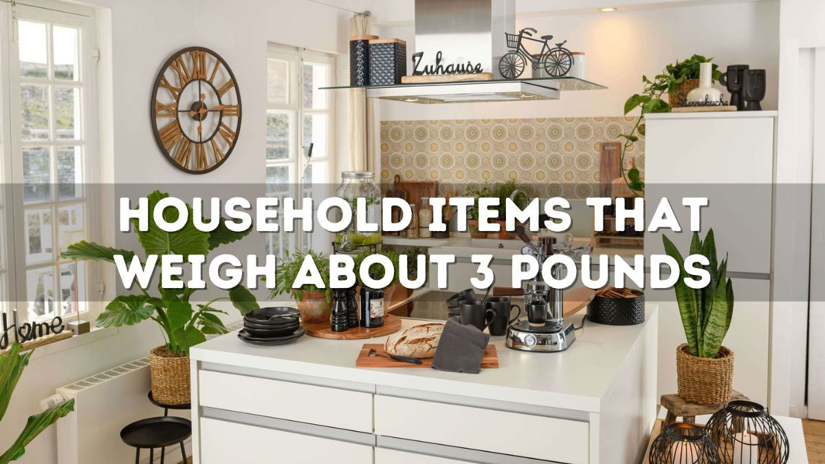 Household Items That Weigh About 3 Pounds