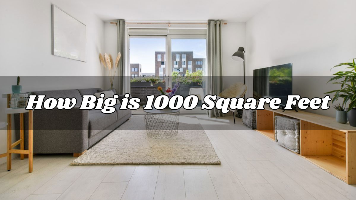 How Big is 1000 Square Feet