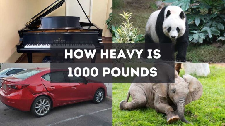 How Heavy Is 1000 Pounds