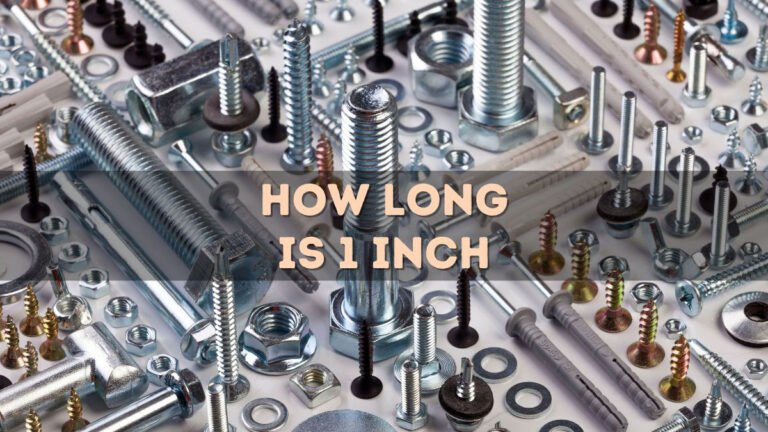 How Long Is 1 Inch