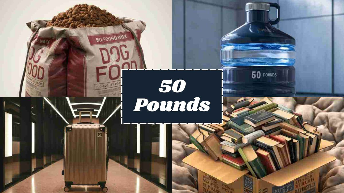 Items That Weigh About 50 Pounds