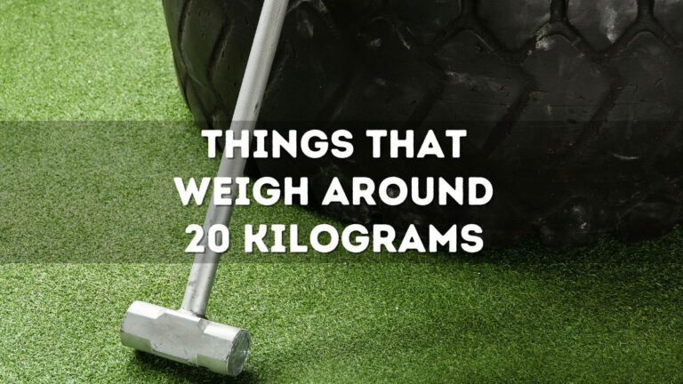 Things That Weigh Around 20 Kilograms