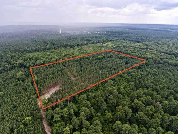 Understanding the Size of 20 Acres