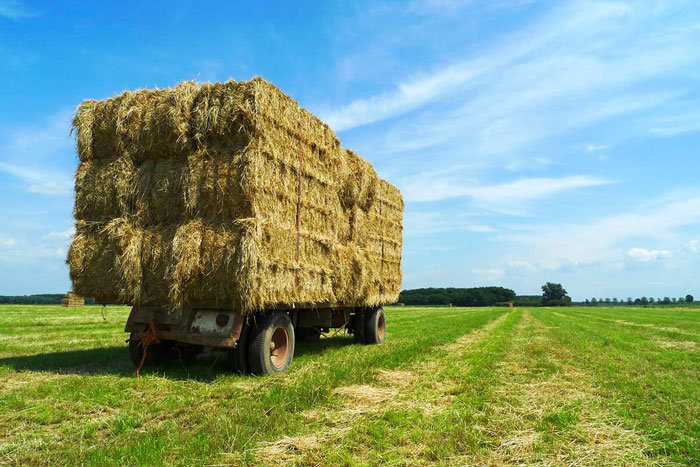 Hay Bale Weight