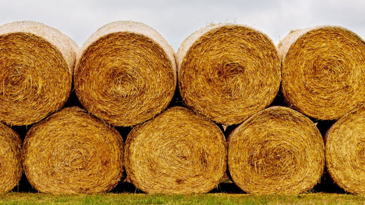 How Much Does a Bale of Hay Weigh