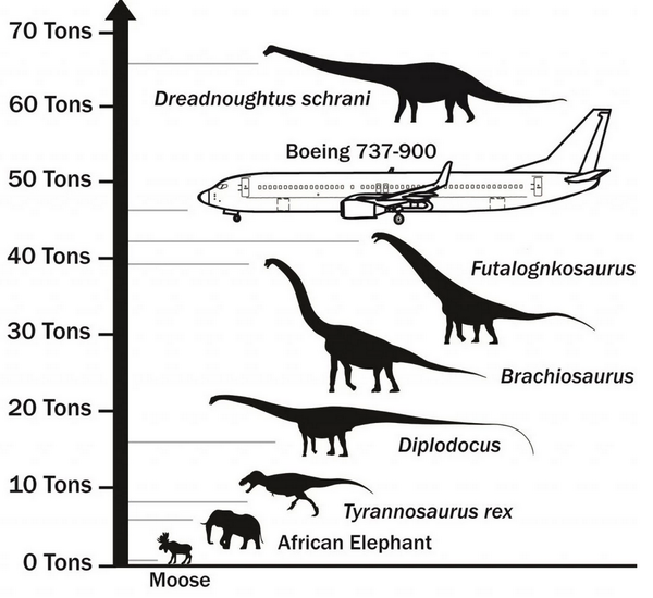 10 Tons Things