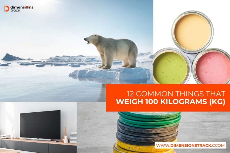 100 Kilograms Things