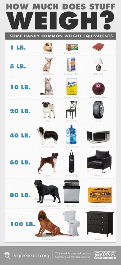 60 Pounds Things